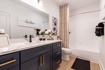 a bathroom with a sink and a toilet and a shower